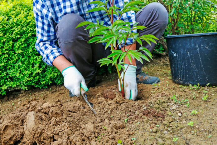 Are you a terrible exerciser? These are 7 activities you might consider instead.